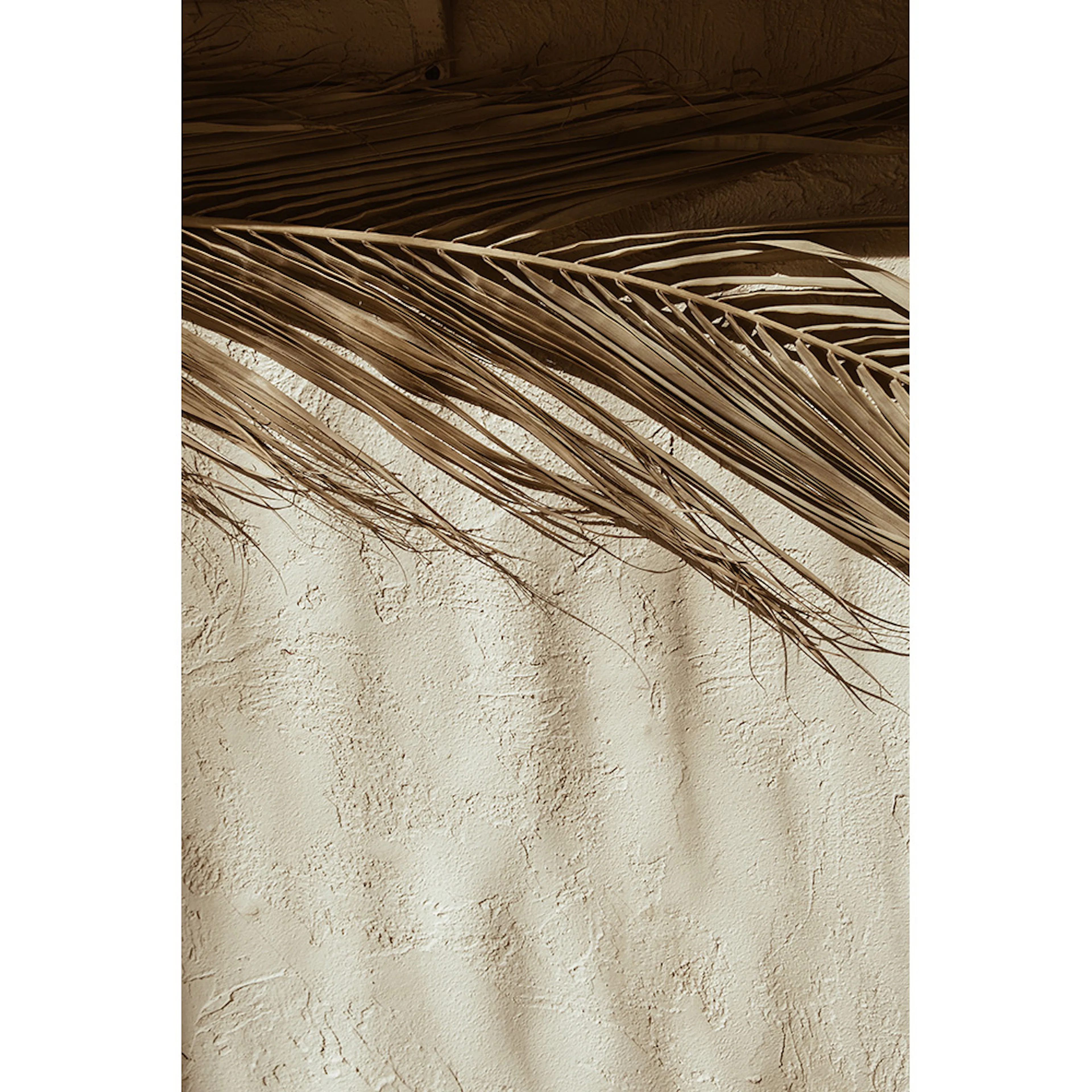 Posters Venture Home Dessert Beige