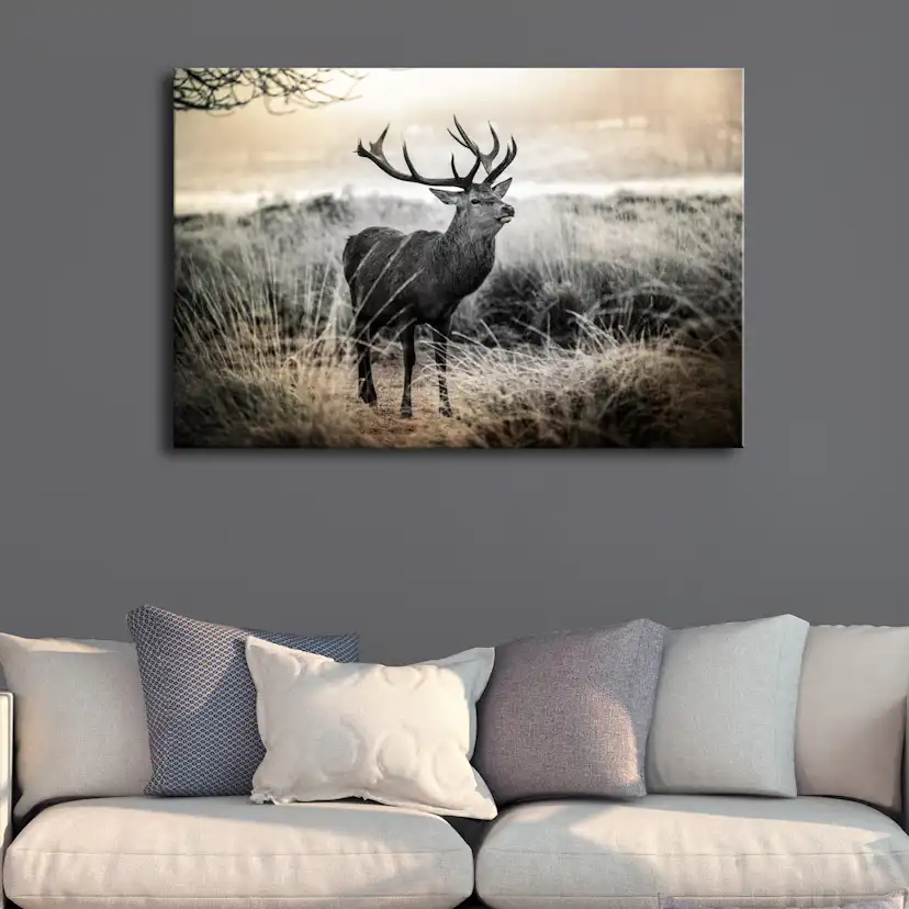 Tavla Arkiio Dangerous Horns