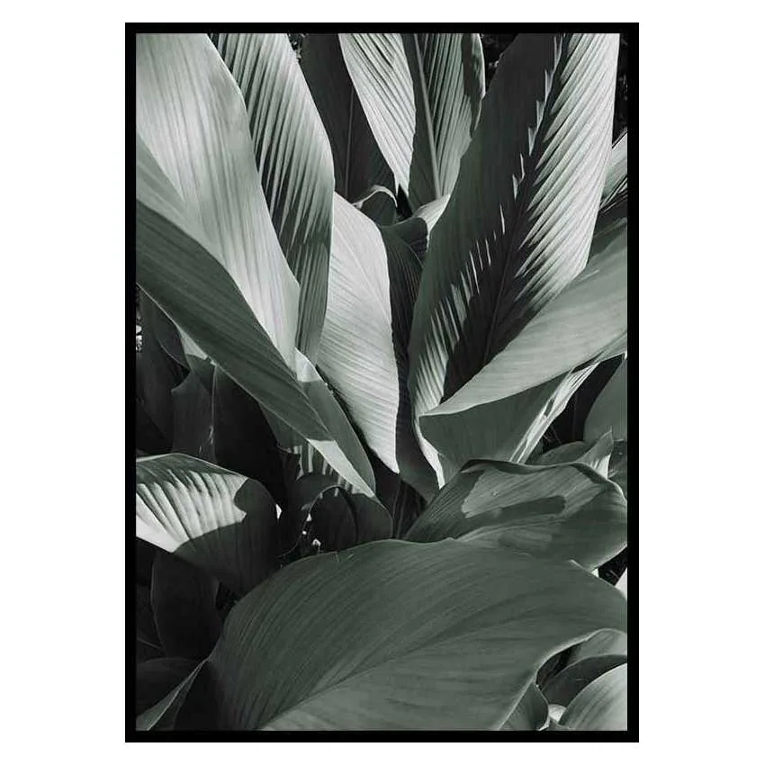 Poster Gallerix Banana Leaves No4