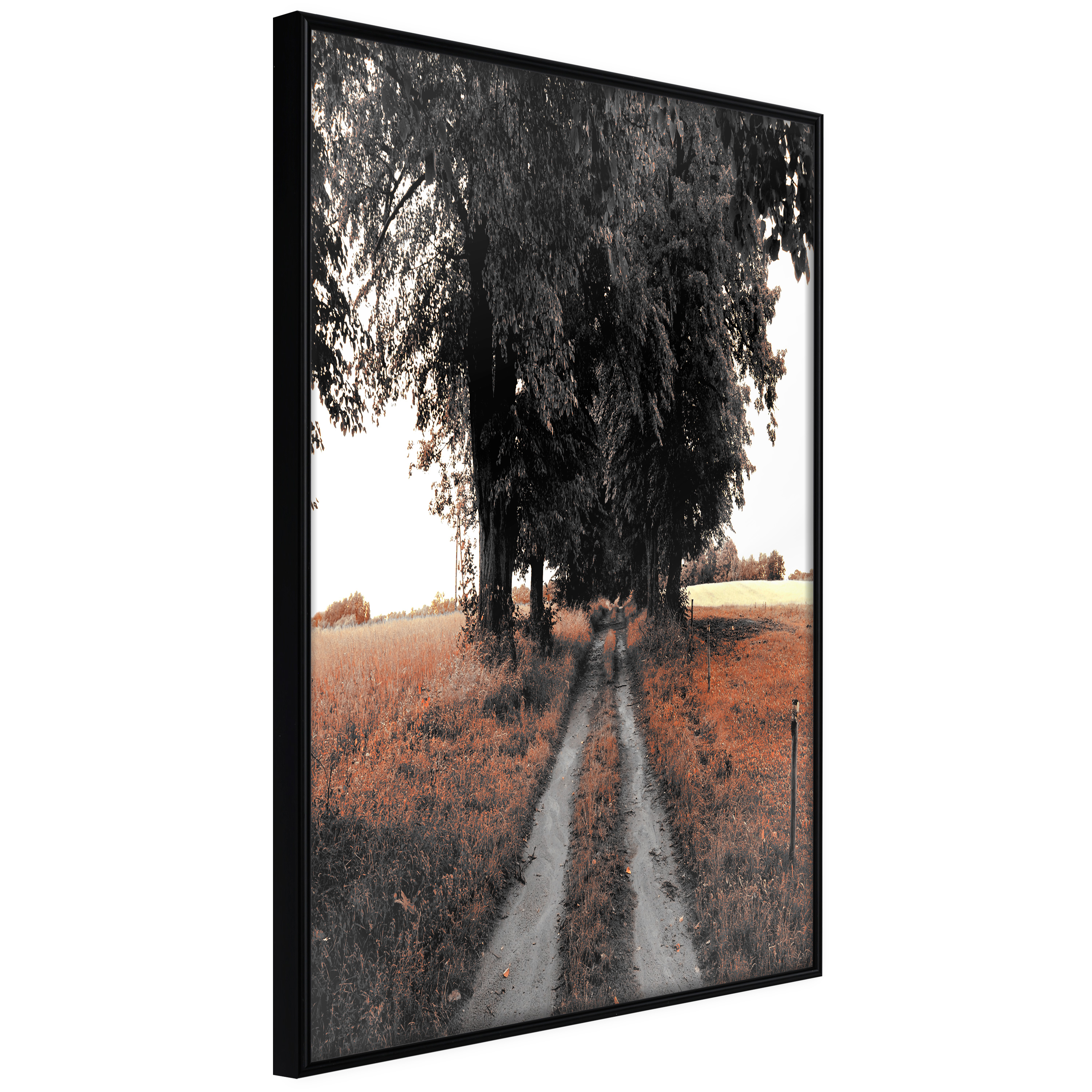 Poster Artgeist Affisch Road to the Forest