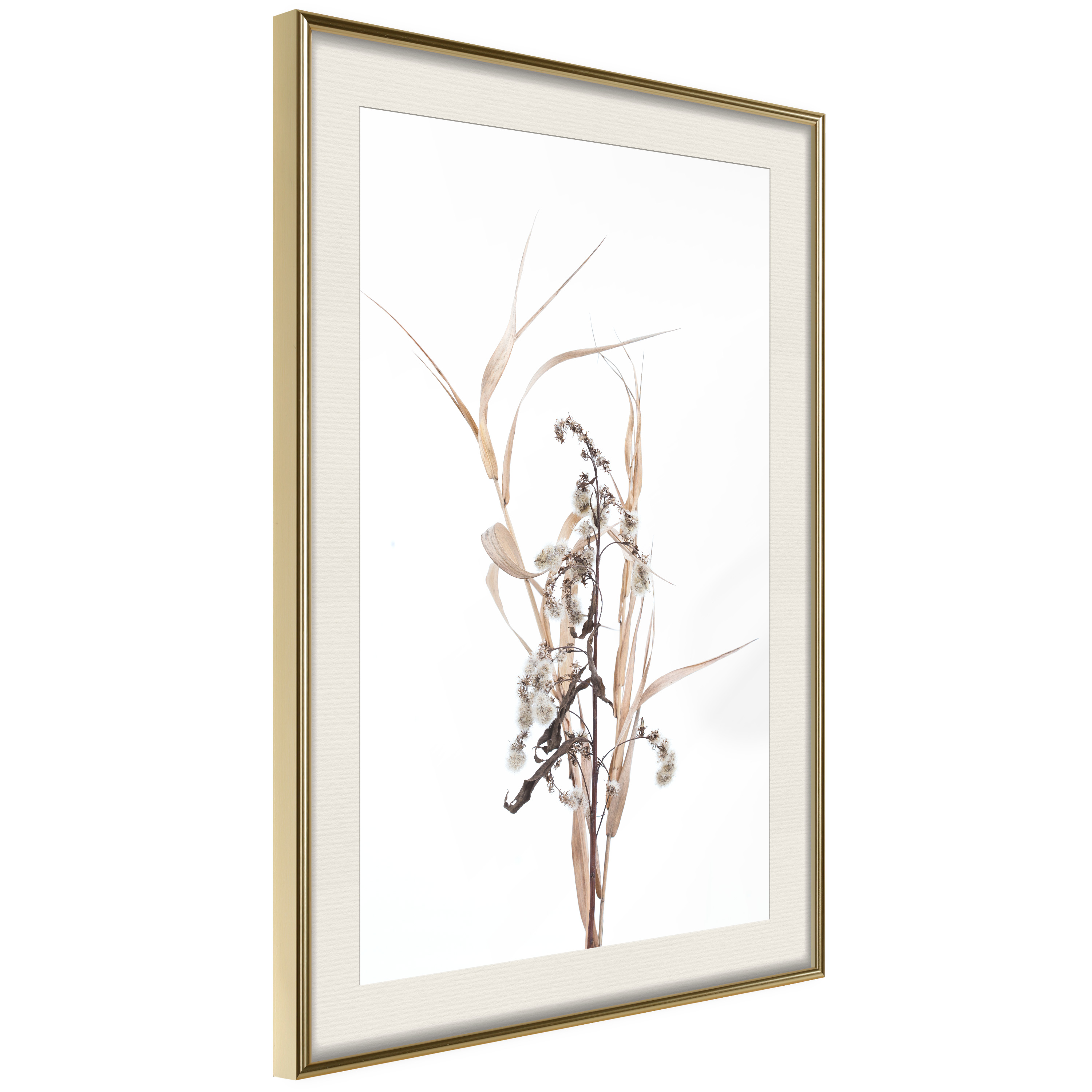 Affisch - Composition of Herbs [Poster] 20x30 Guld ram med passepartout, 20x30 cm