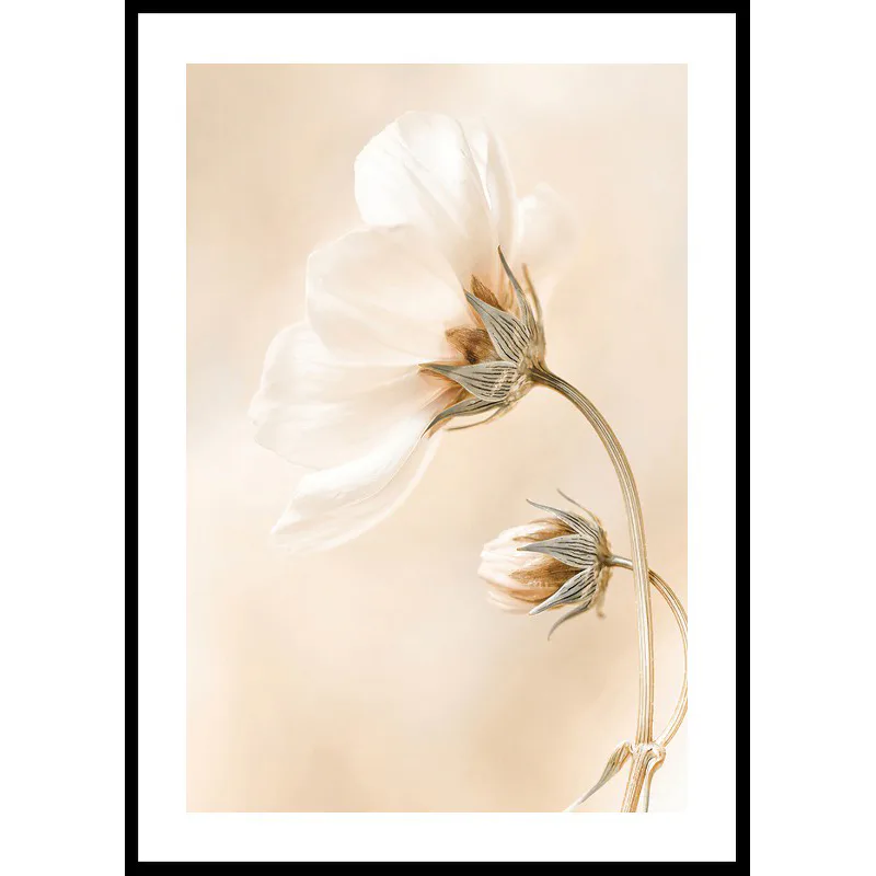 Poster Gallerix Spring Flowers No1