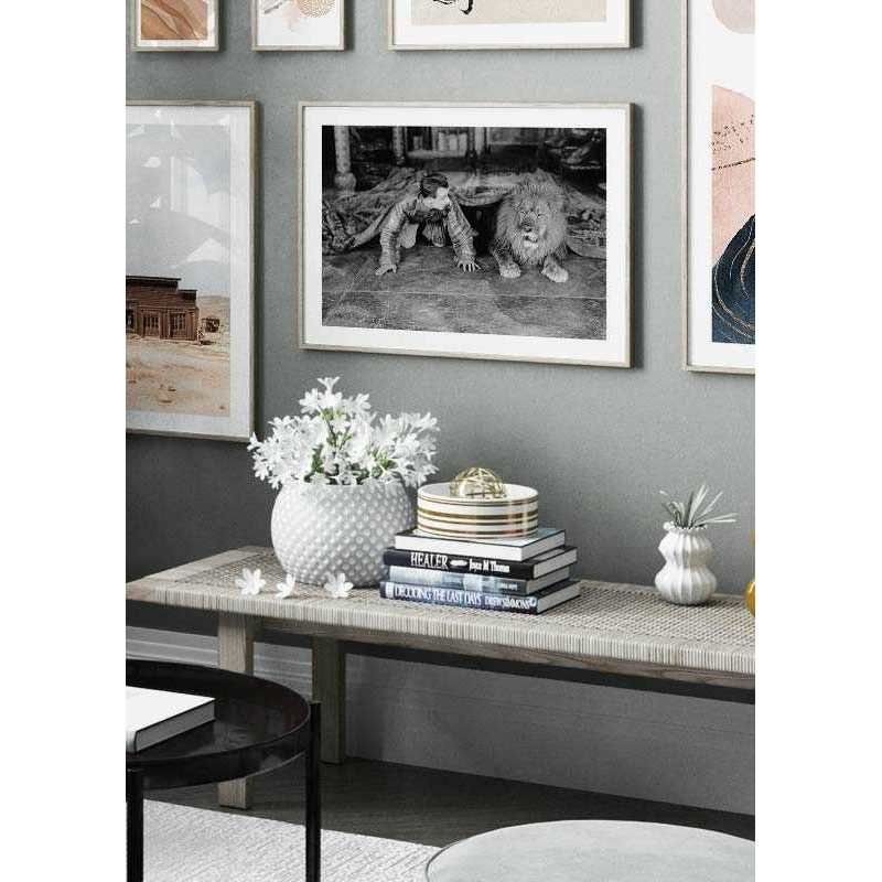 Poster Gallerix Man And Lion