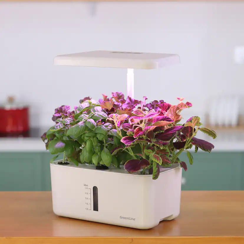 Odlingsset GreenLine Urban Growing 8-Pack