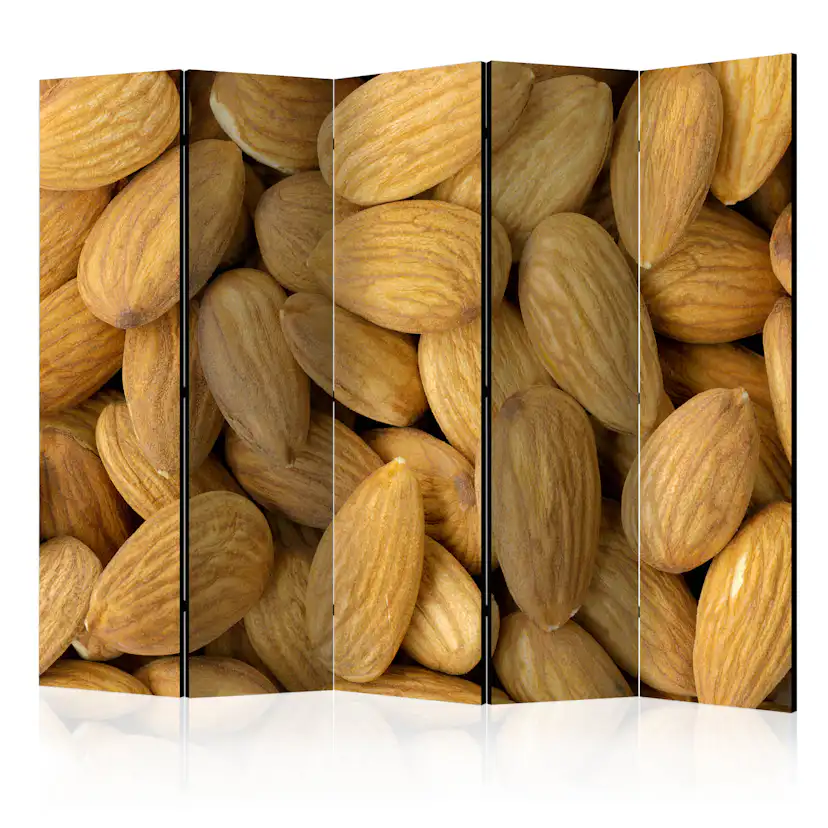 Rumsavdelare Arkiio Tasty Almonds II 225x172 cm