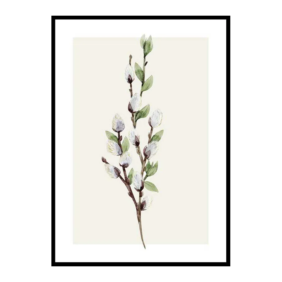 Poster Gallerix Willow Branches