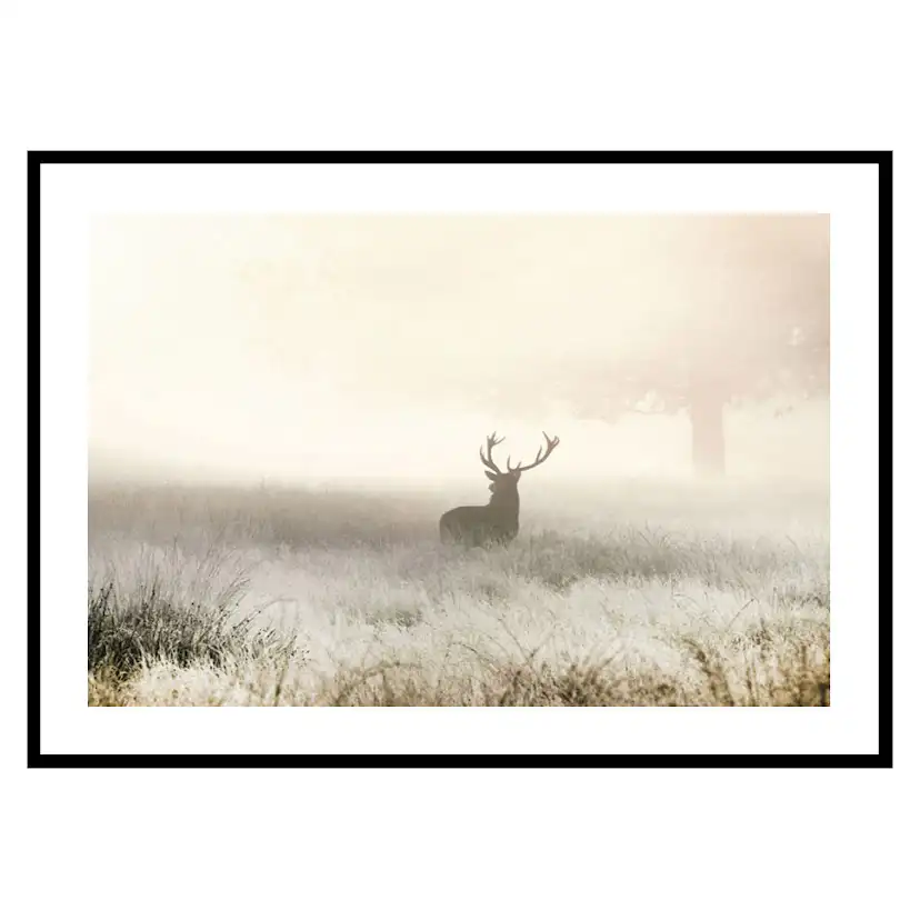 Poster Gallerix Deer In Mist