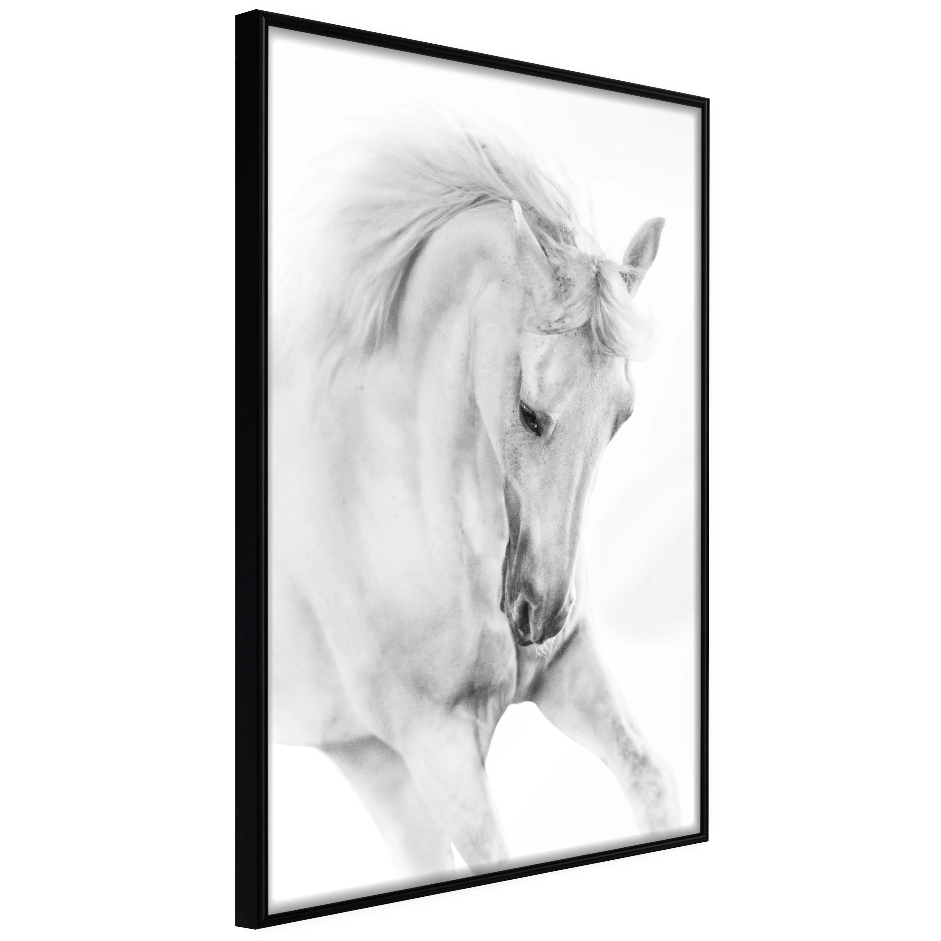 Affisch - White Horse [Poster] 40x60 Svart ram, 40x60 cm