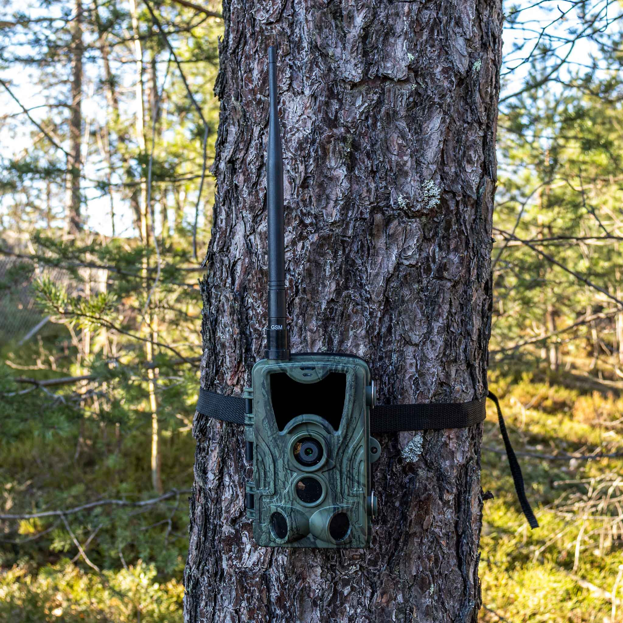 Åtelkamera Trekker Premium Sändande 4G LTE