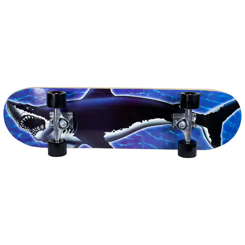 Skateboard Sandbar Shark