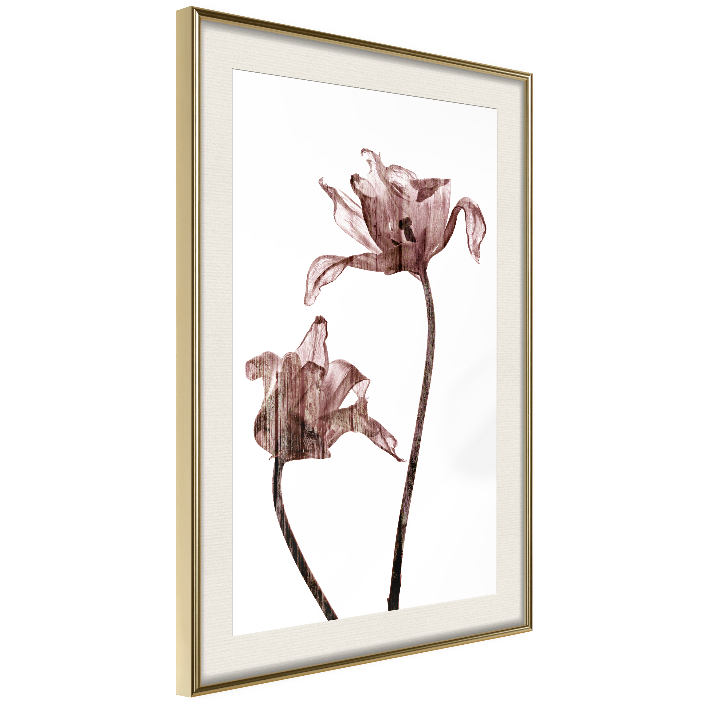 Affisch - Illuminated Closeness [Poster] 30x45 Guld ram med passepartout, 30x45 cm