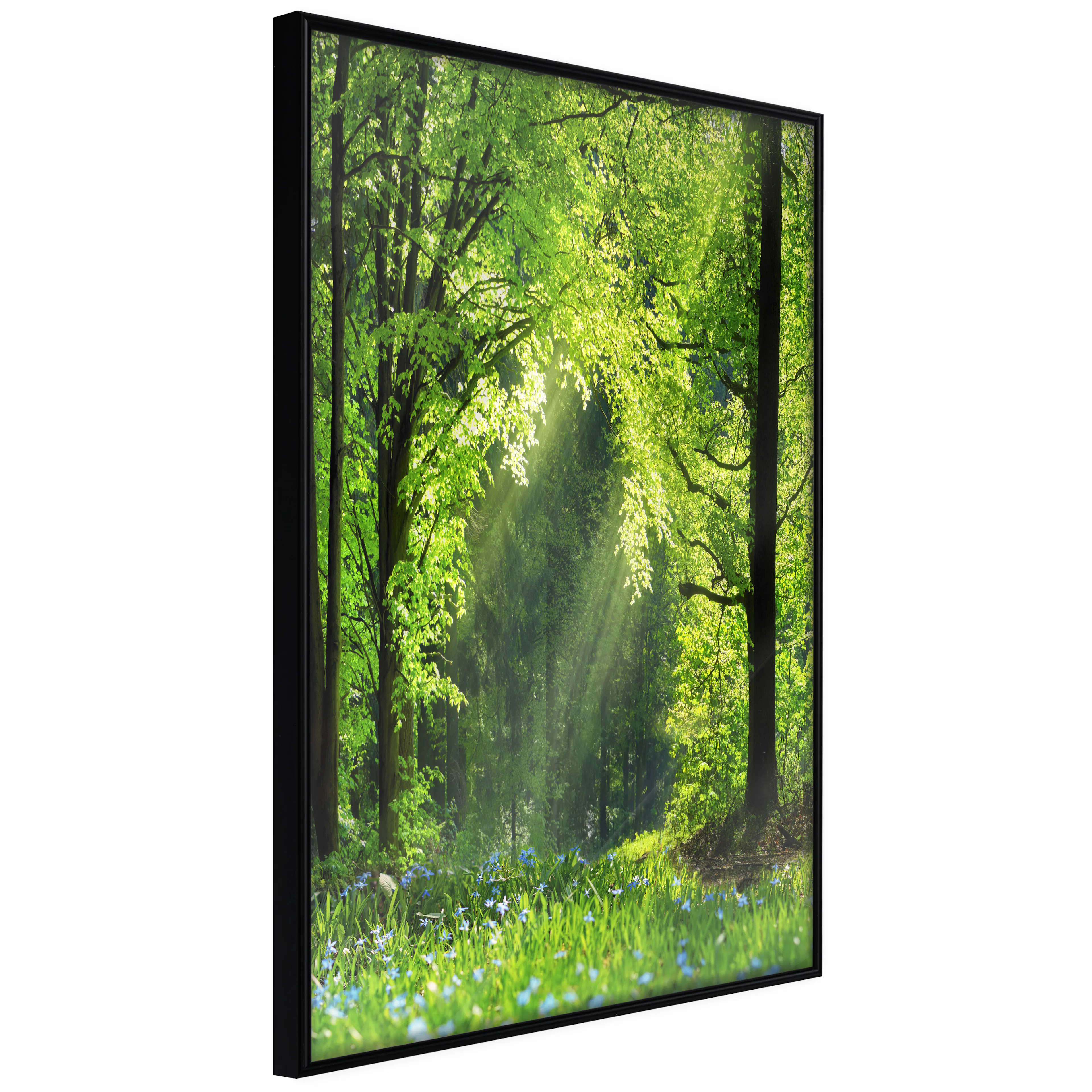 Affisch - Rebirth of Nature [Poster] 40x60 Svart ram, 40x60 cm