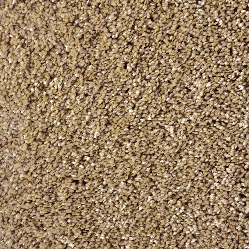 Galaxy 192 Brun 192 Brun