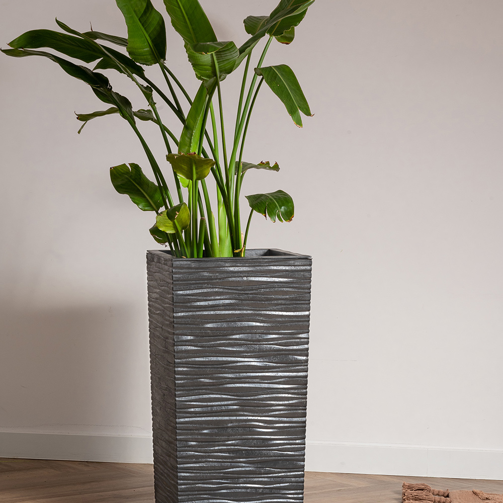 Blomkruka Recal Serenity