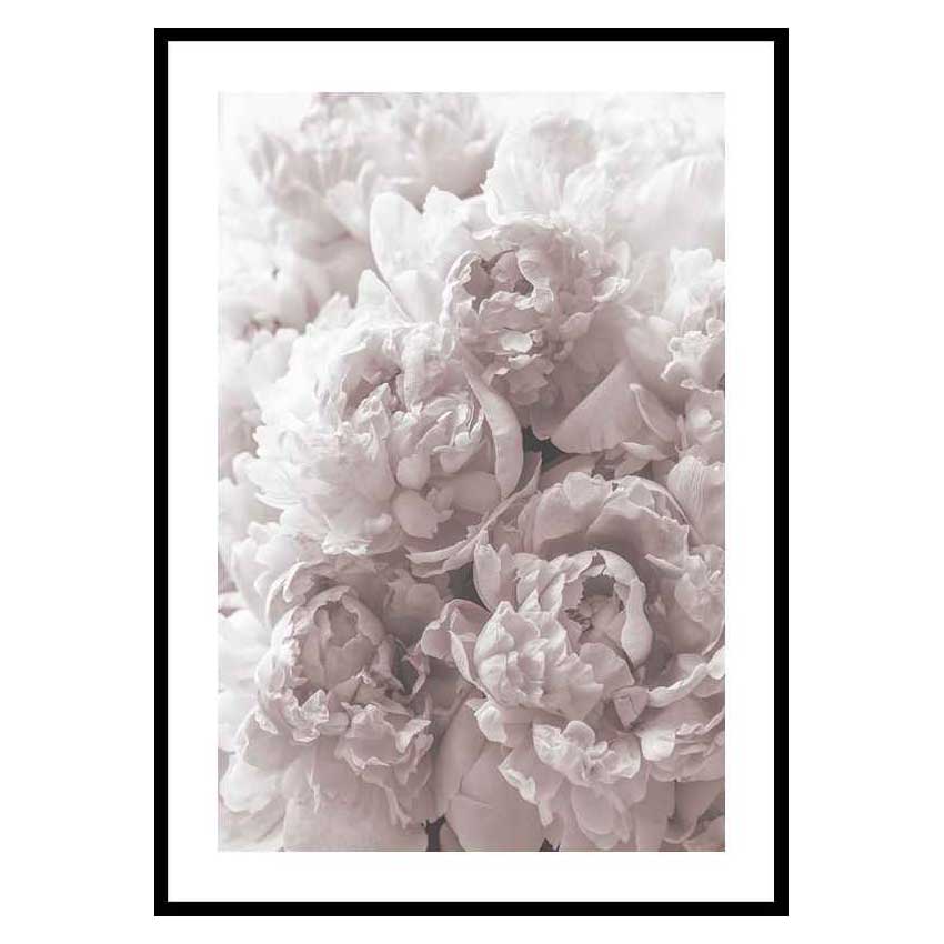 Poster Gallerix Bright Pink Roses No2