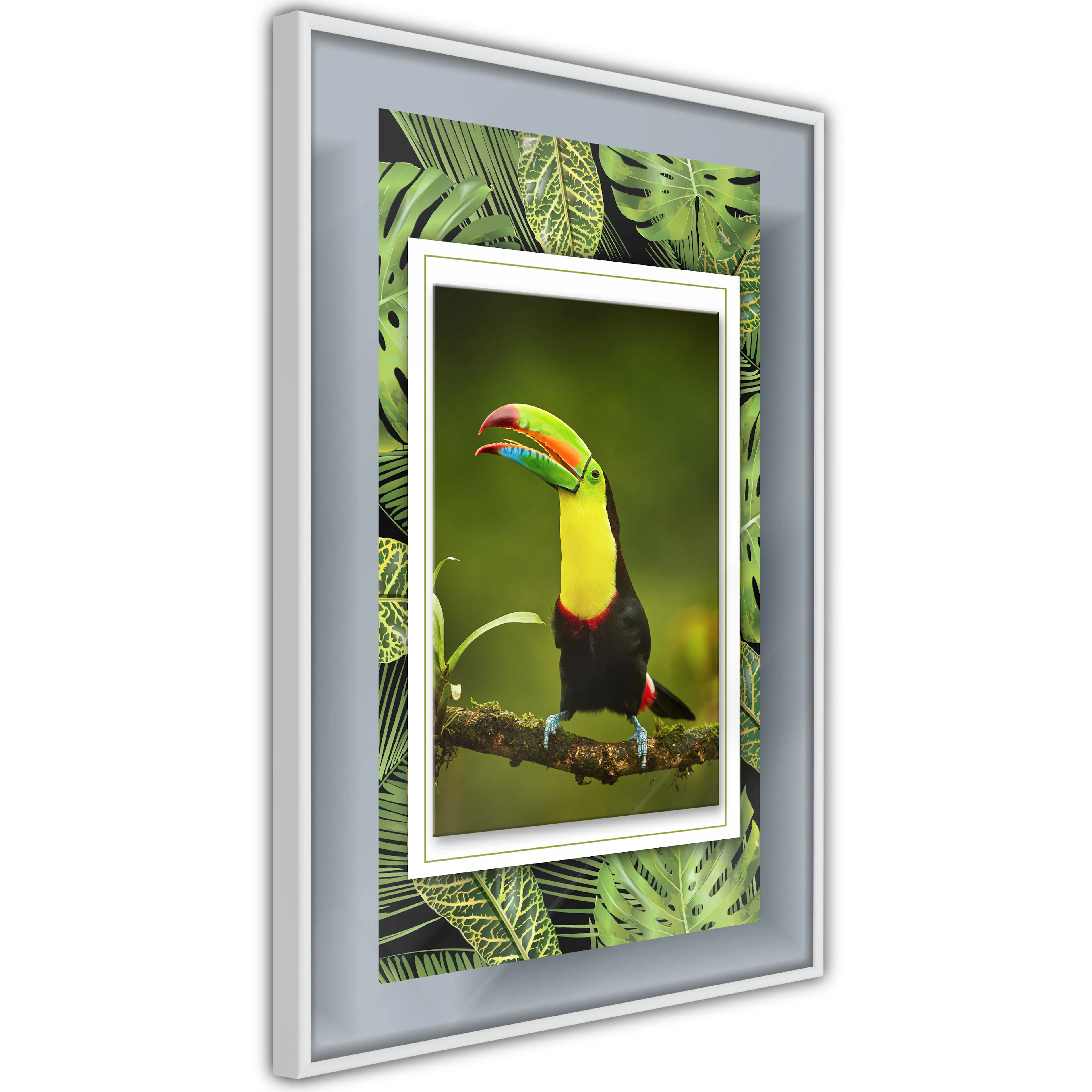 Poster Artgeist Affisch Toucan