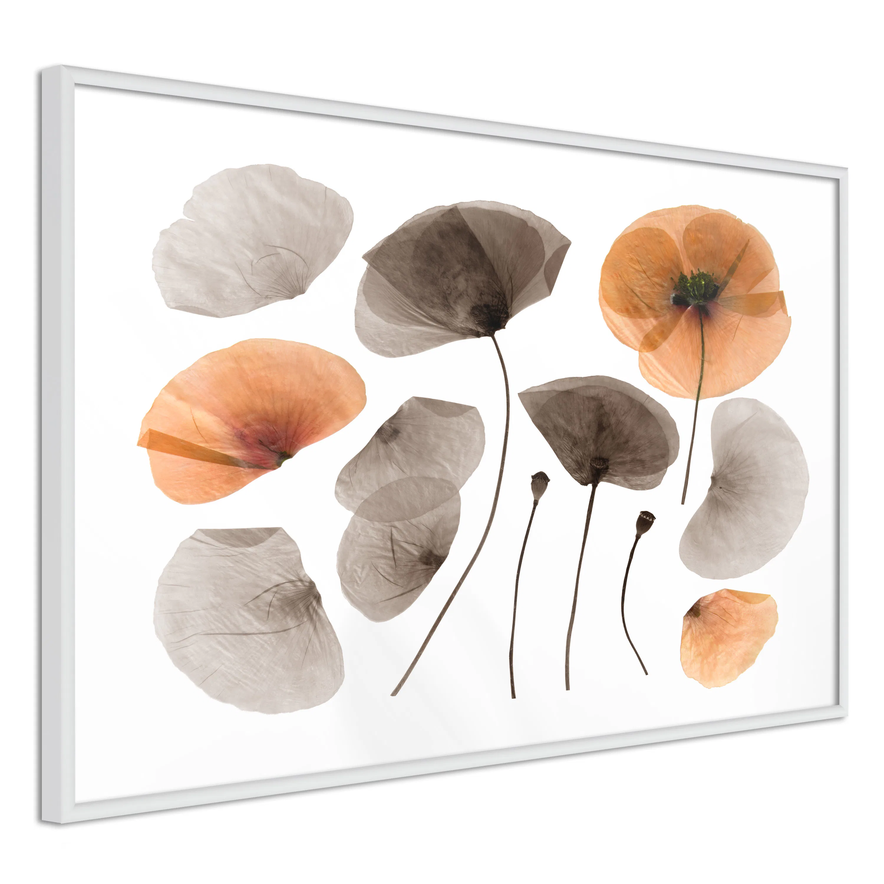 Poster Artgeist Affisch Meadow Herbarium