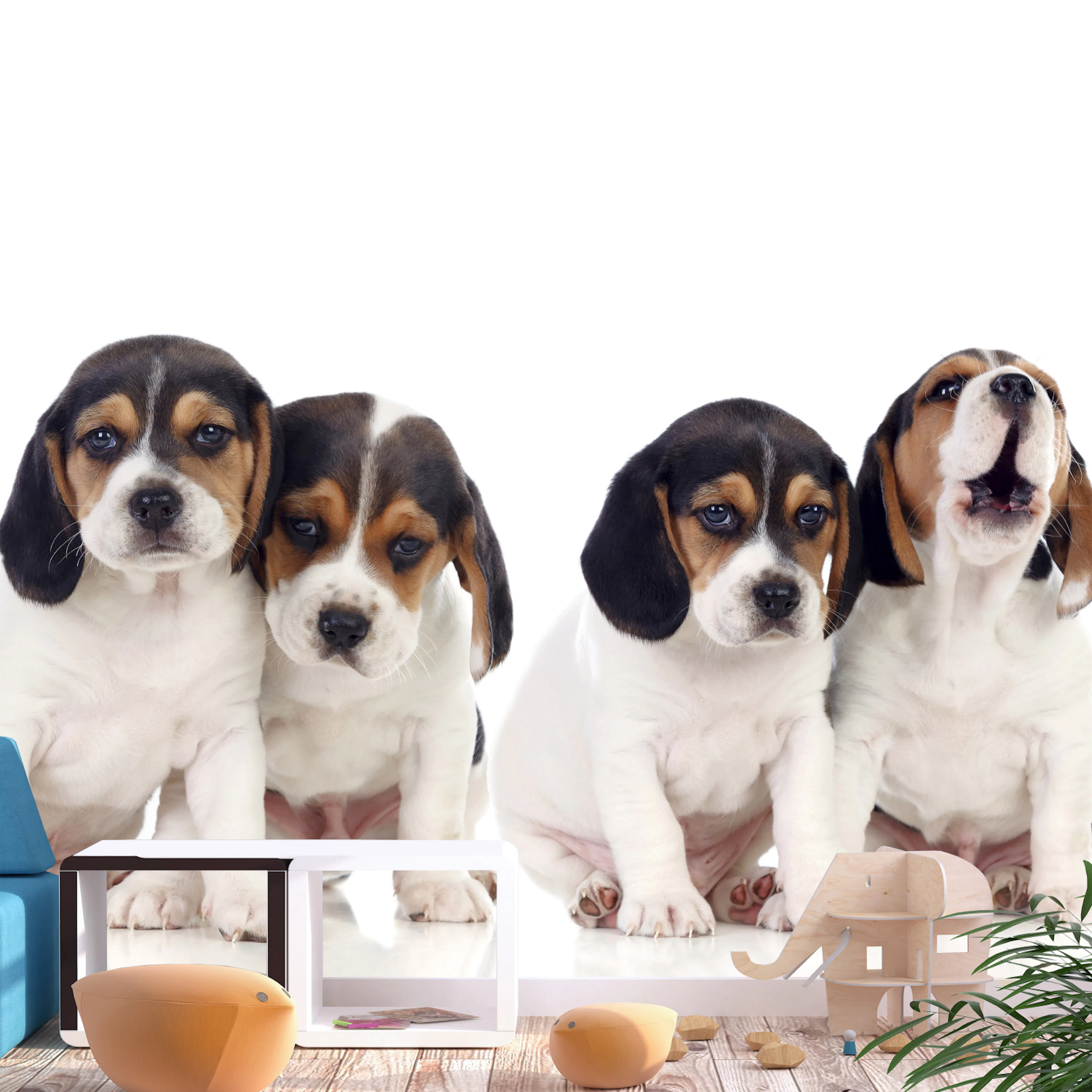 Fototapet - Sad Puppies 450x315 450x315 cm
