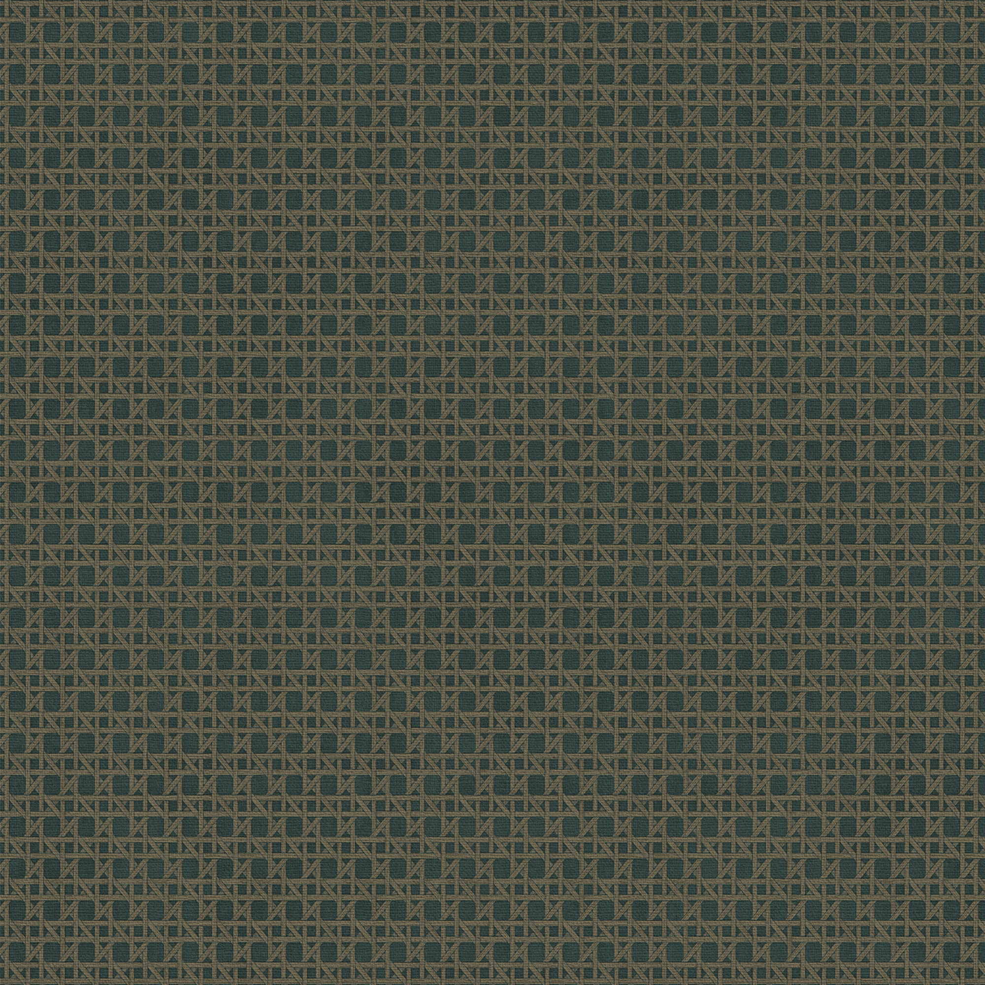 Tapet Sublime Rotan Blå Grön 121861