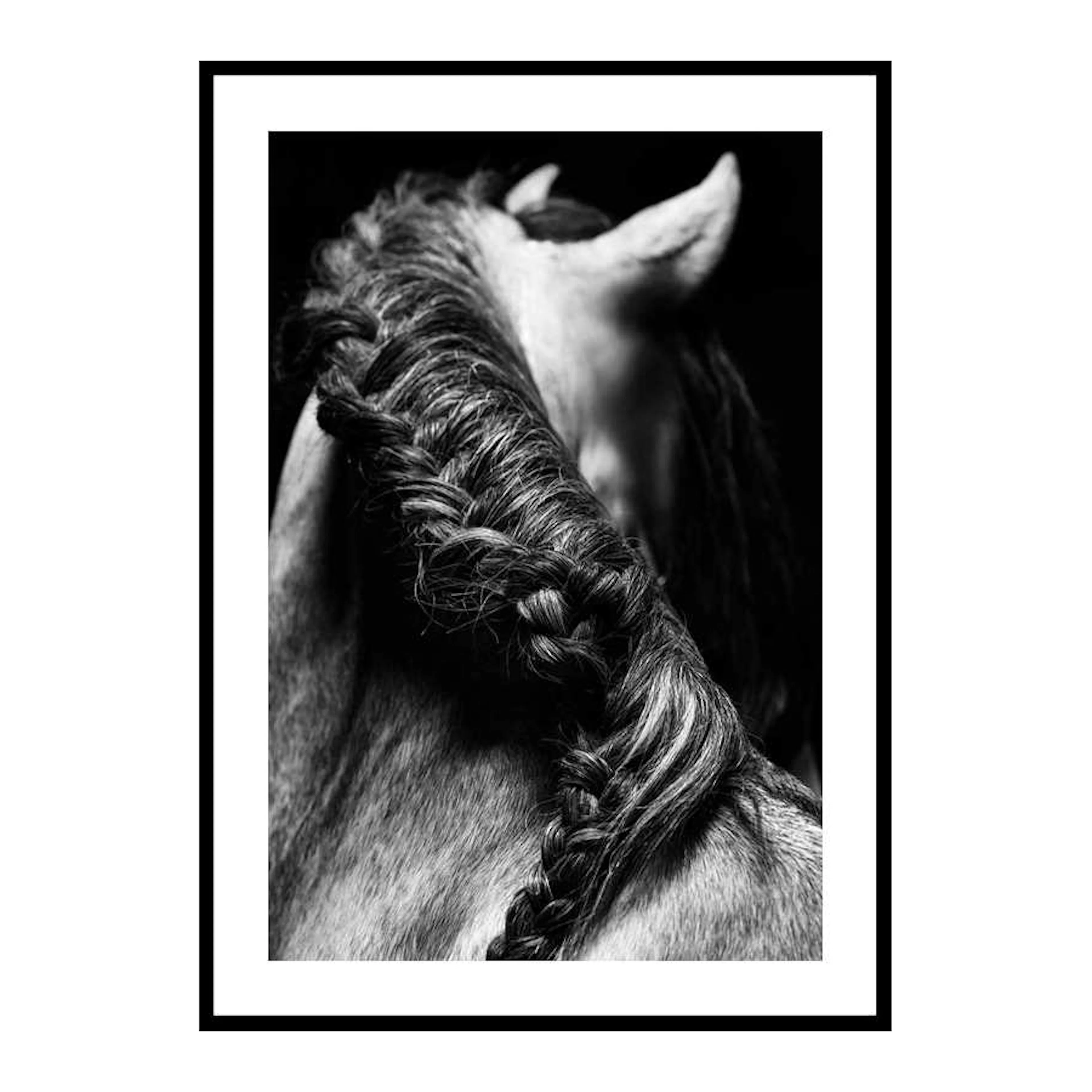Poster Gallerix Horse Mane