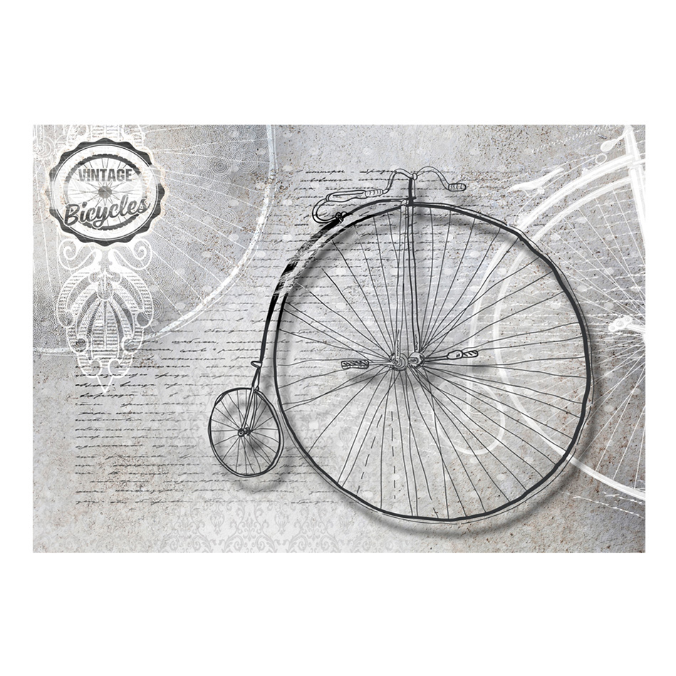 Vintage bicycles - black and white 250x175 Storlek: 250x175 cm