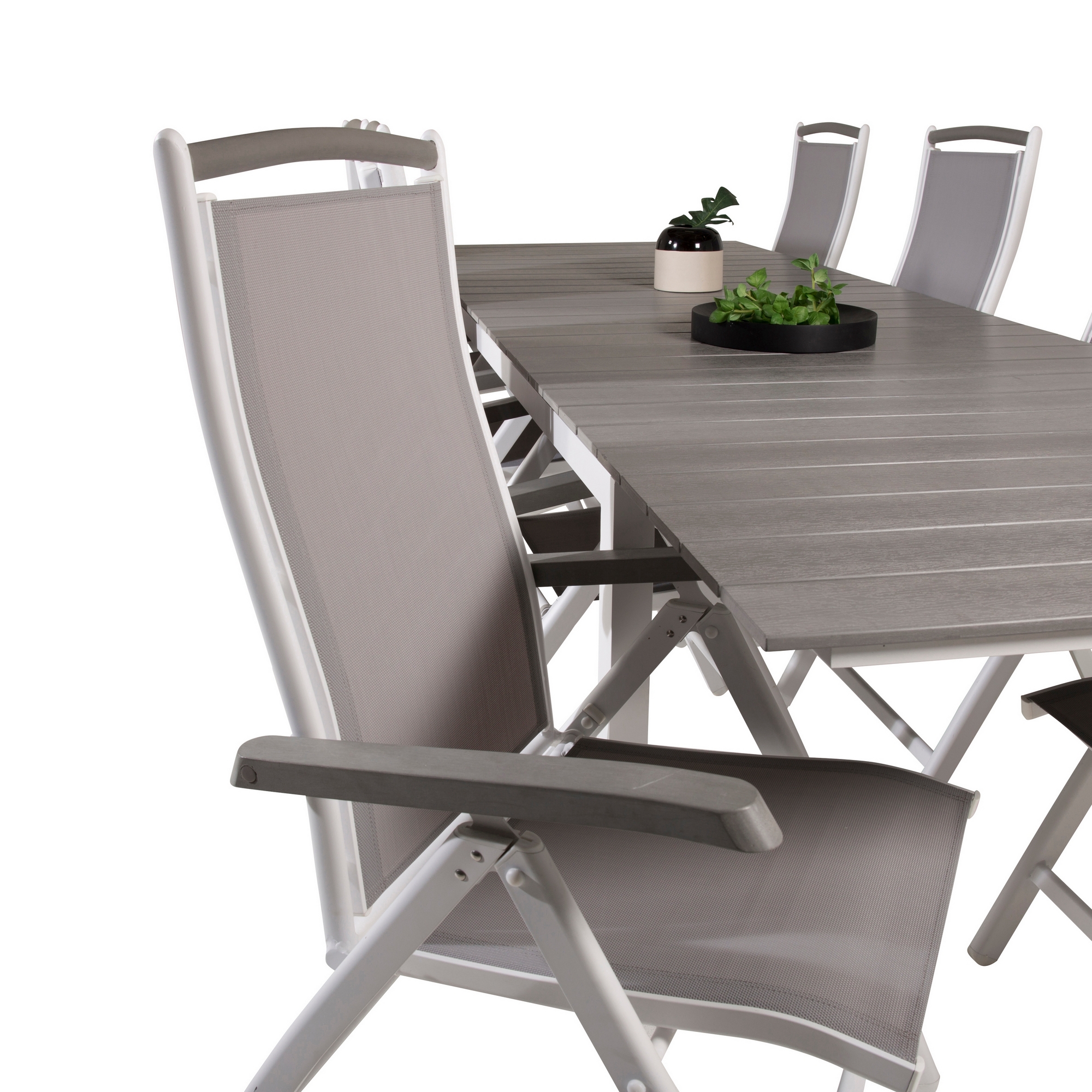 Matgrupp Venture Home Lova 224/324 med 8 Albany Stolar