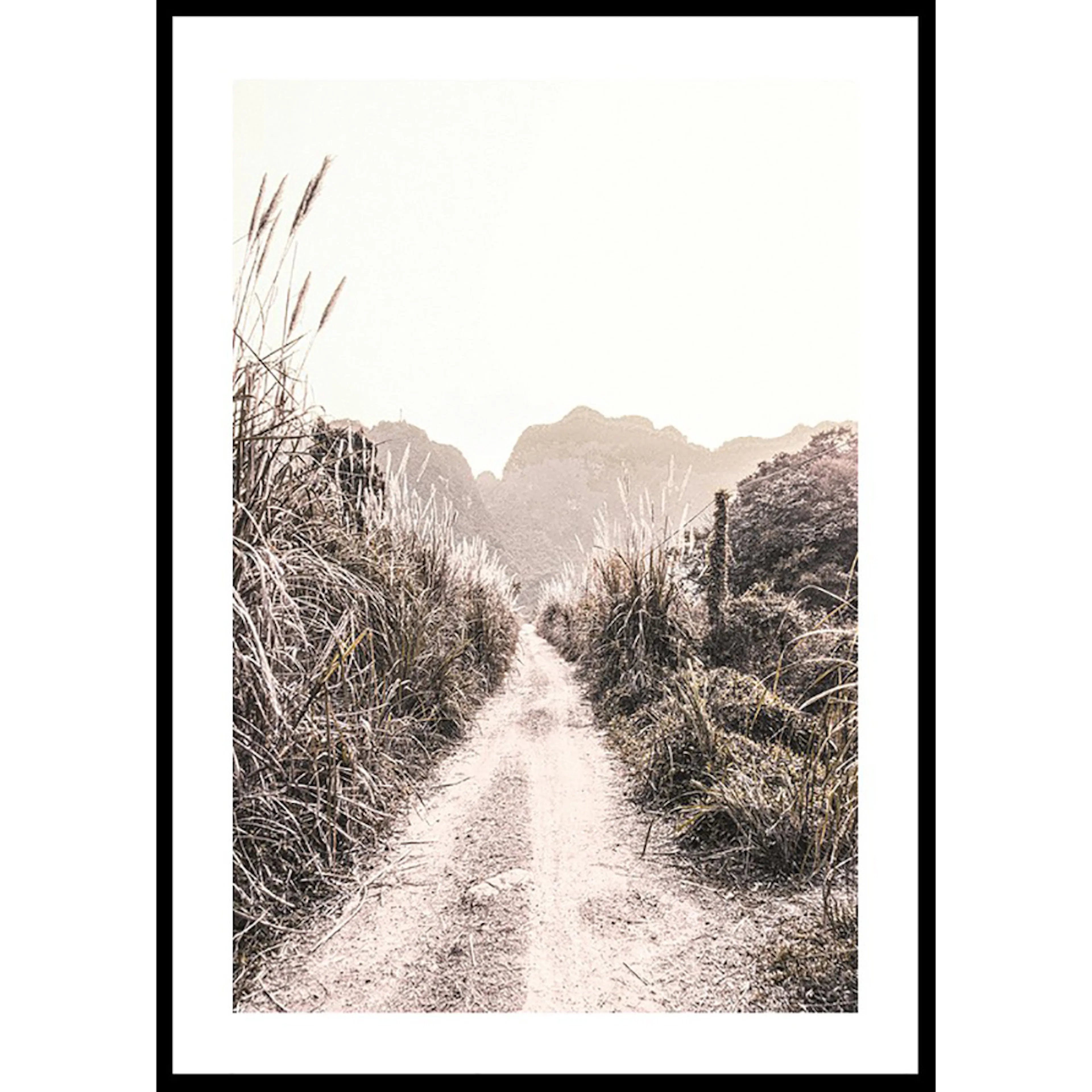 Poster Gallerix Dirt Road In Grass Fields