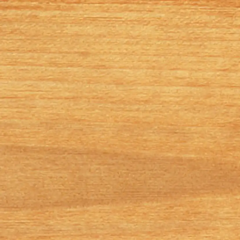 Träolja Saicos 0110 Ofärgad