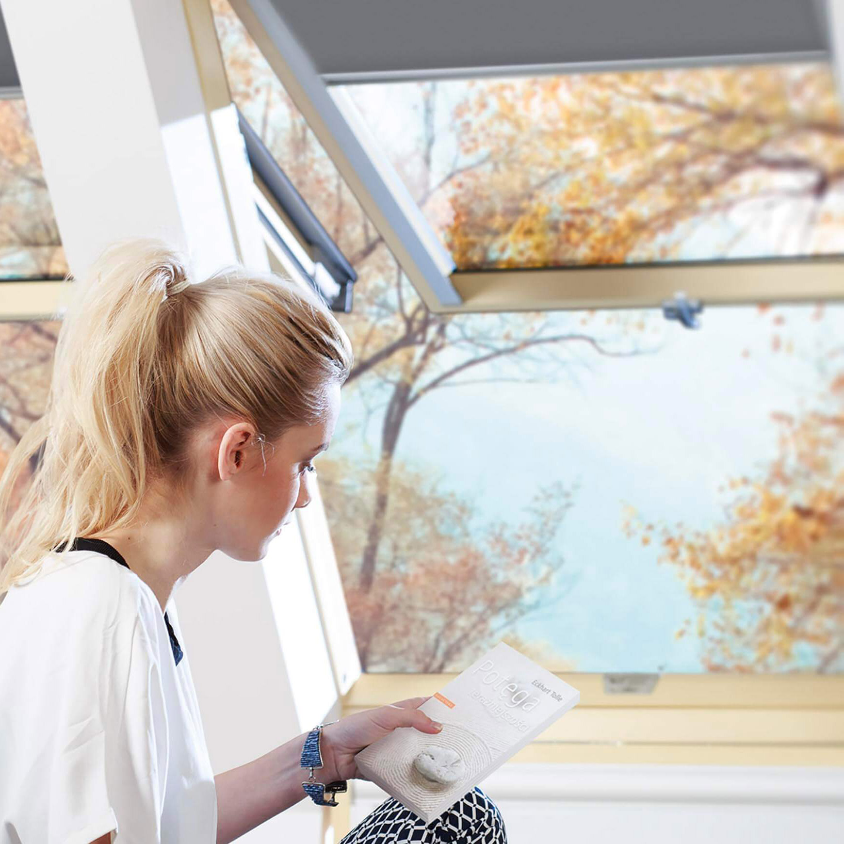 Takfönster Fakro Topp & Pivåhängt 2-Glas Lagerfört