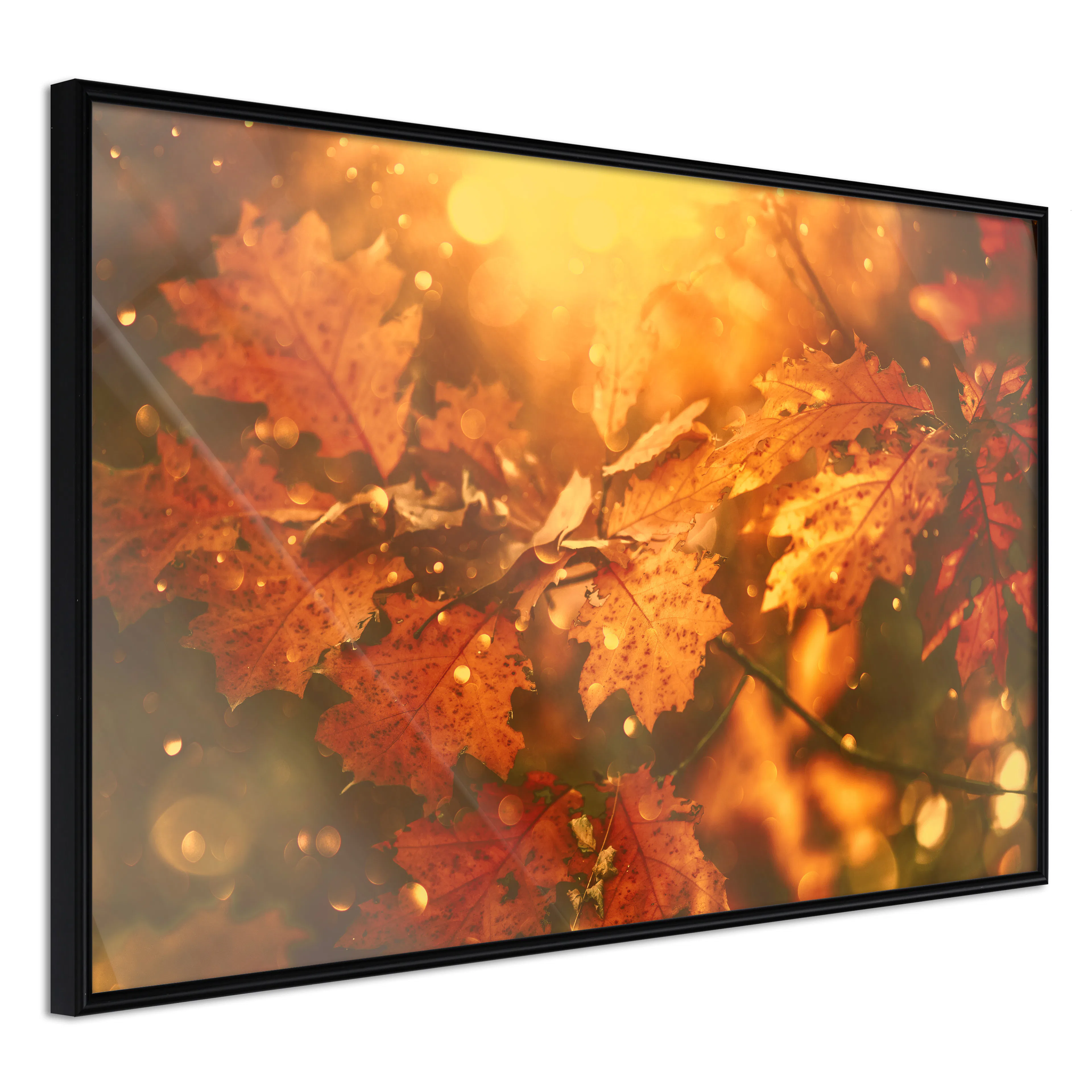 Affisch - Dancing Leaves [Poster] 60x40 Svart ram, 60x40 cm