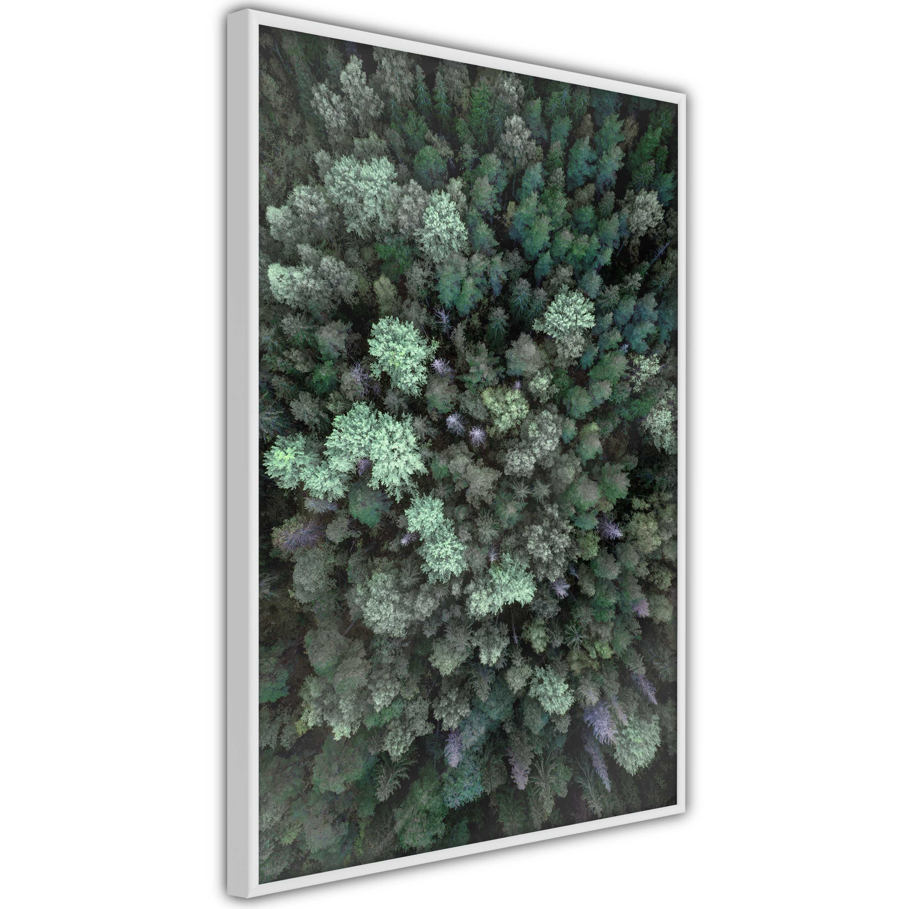 Poster Artgeist Affisch Flying Over Forest