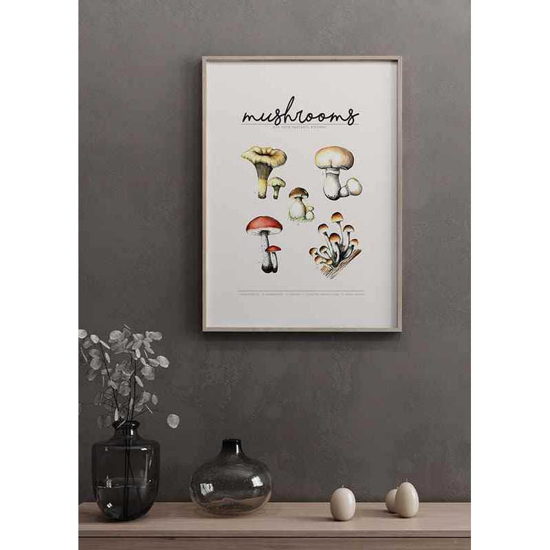 Poster Gallerix Mushrooms