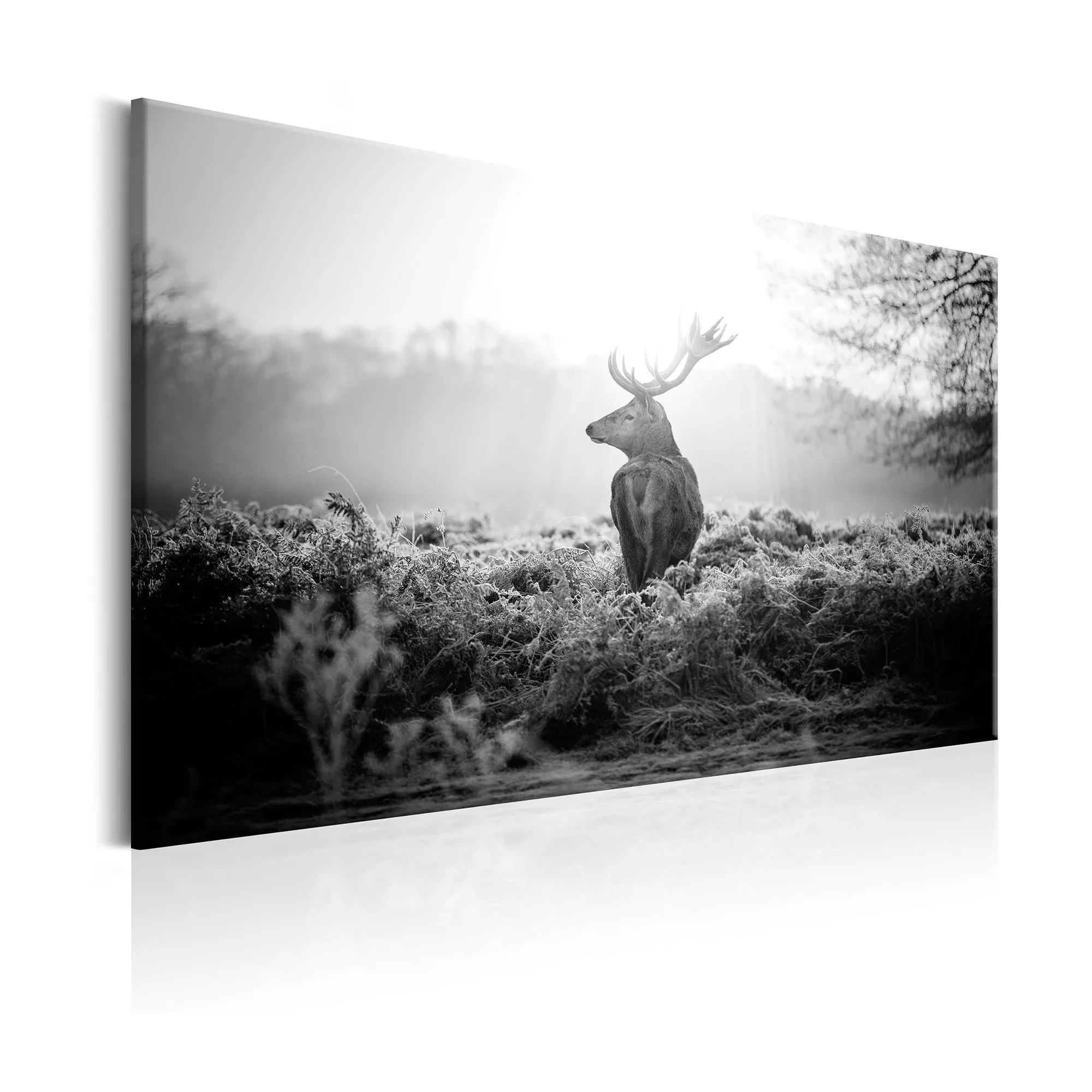 Tavla Arkiio Black And White Deer