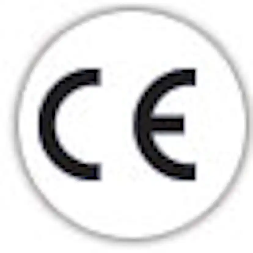 Elverk Champion Generators CPG6500E2 5,5kW 1-fas bensin med fjärrstart