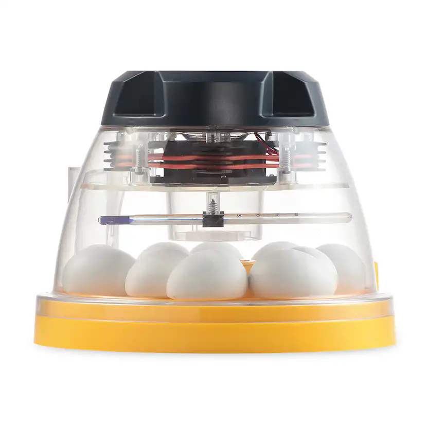 Äggkläckare Brinsea Mini II Eco