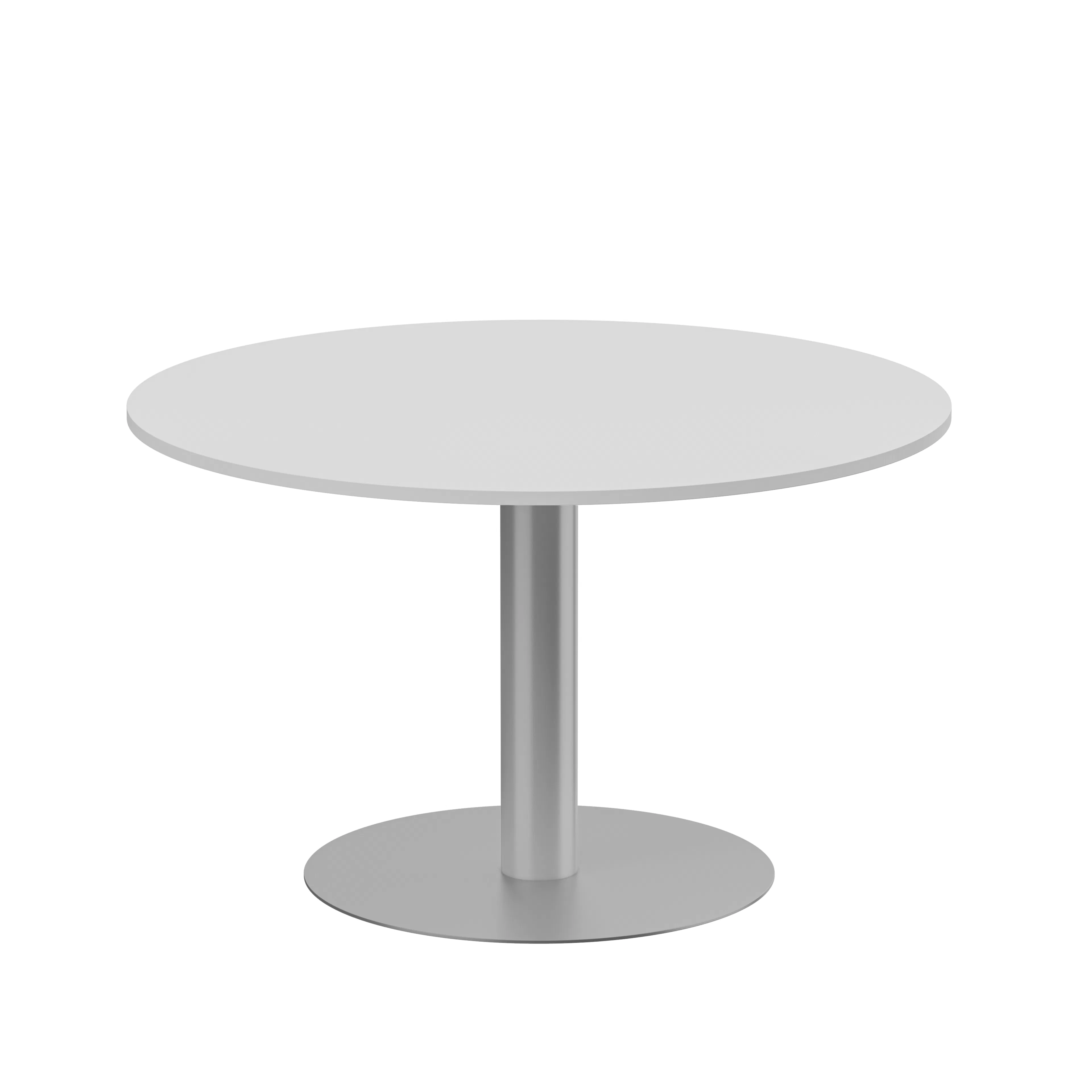 Ljusgrå/Silver