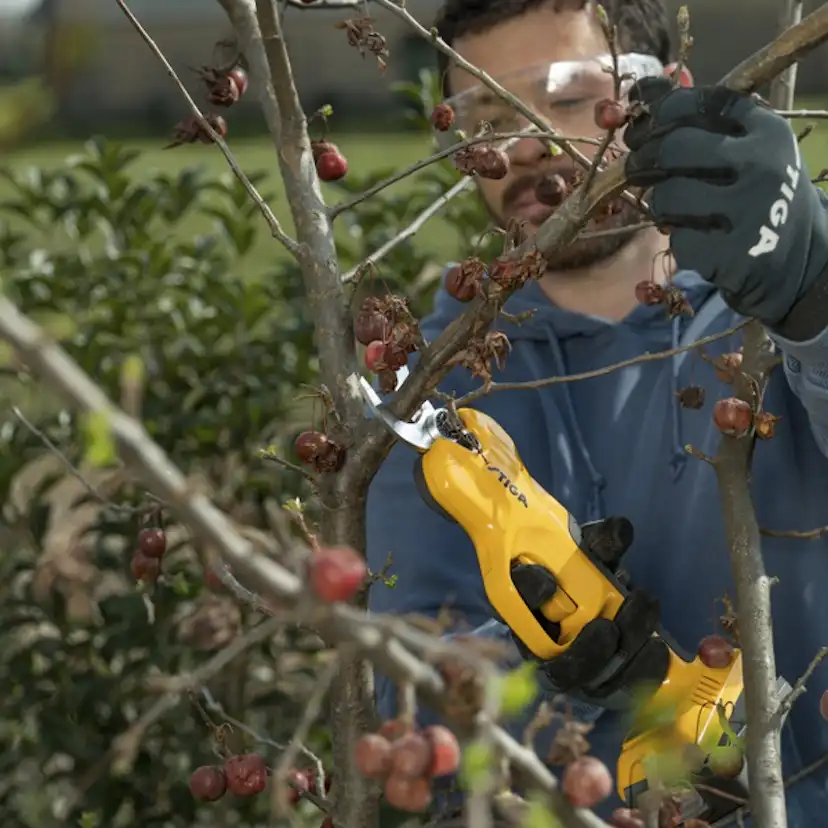 Sekatör STIGA SC 100e med Batteri & Laddare