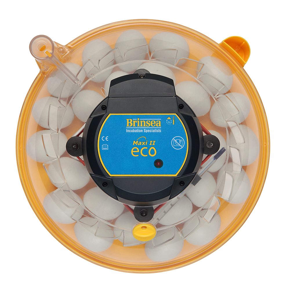 Äggkläckare Brinsea Maxi II Eco