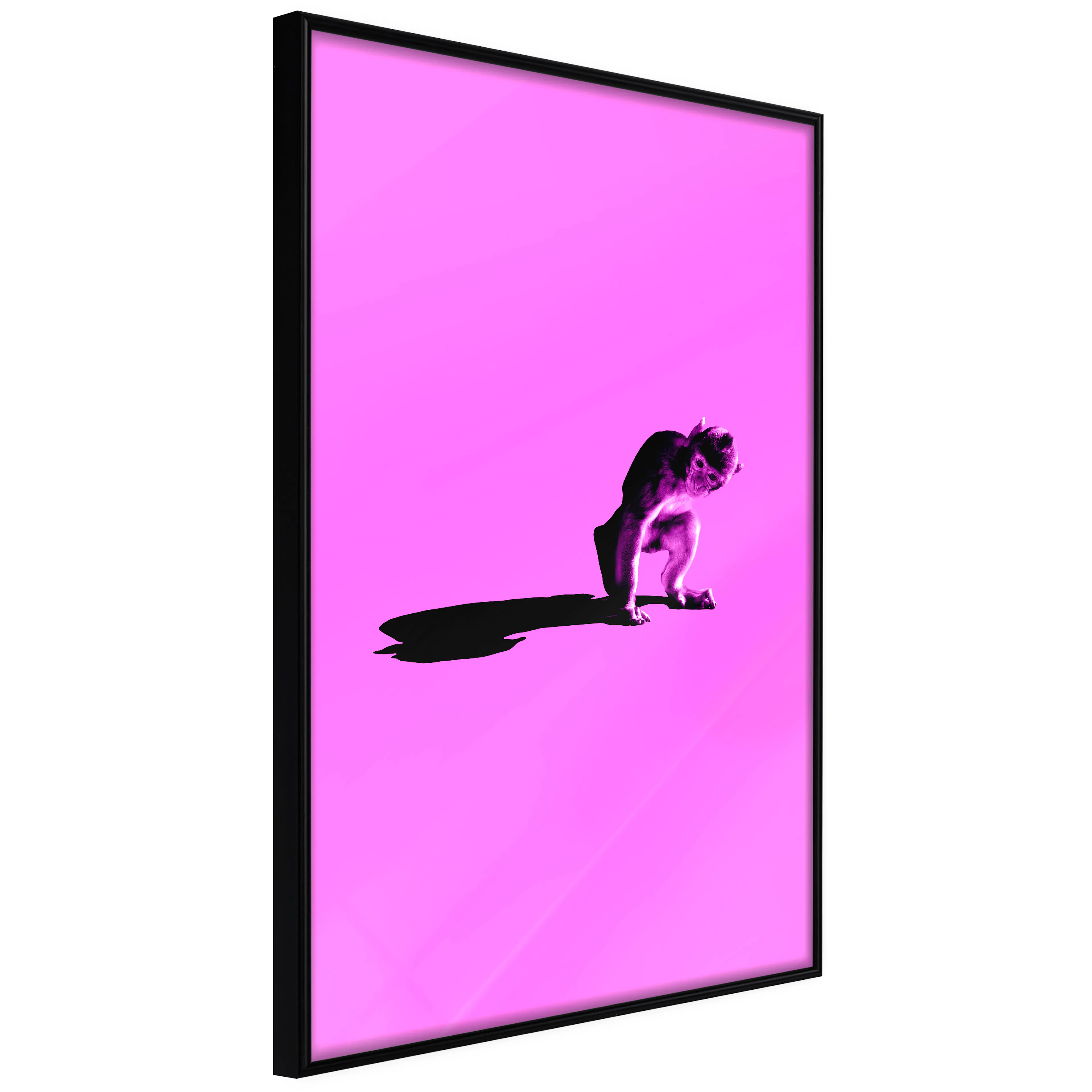 Affisch - Little Monkey [Poster] 40x60 Svart ram, 40x60 cm