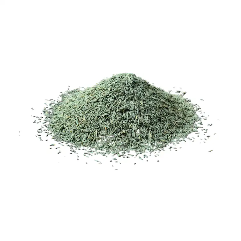 Gräsfrö Xeed Glänsa 1 kg
