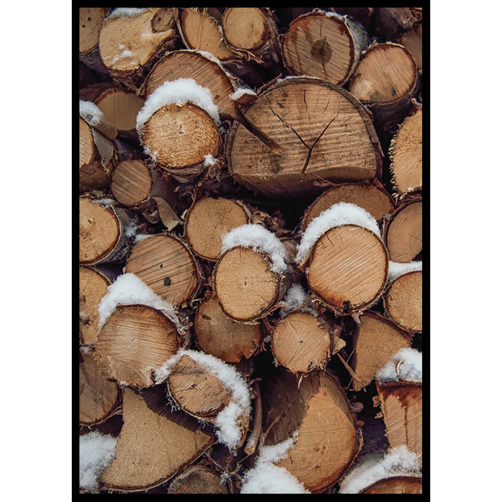 Poster Gallerix Wooden Logs