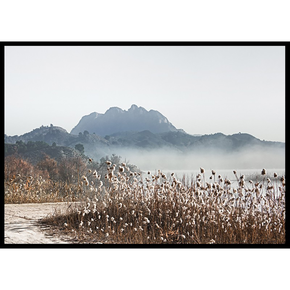 Poster Gallerix Pathway Near The River