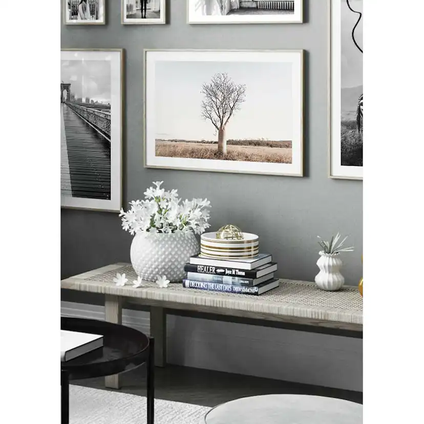 Poster Gallerix Boab Tree
