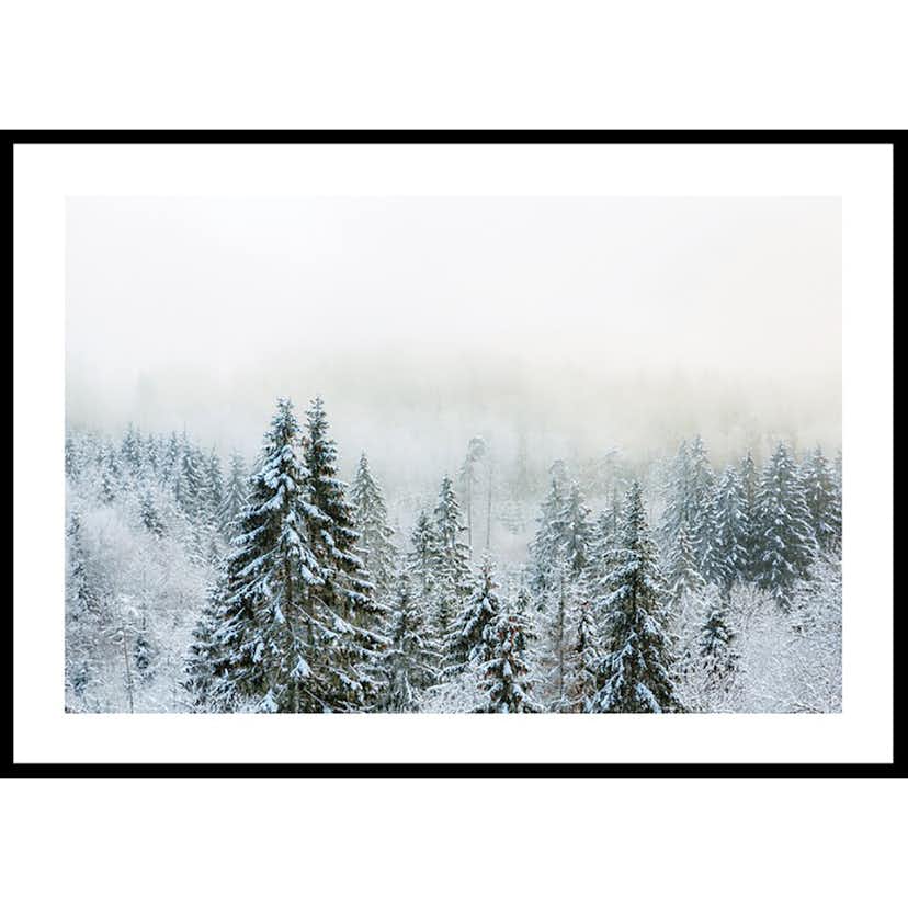 Poster Gallerix Snow Covered Forest
