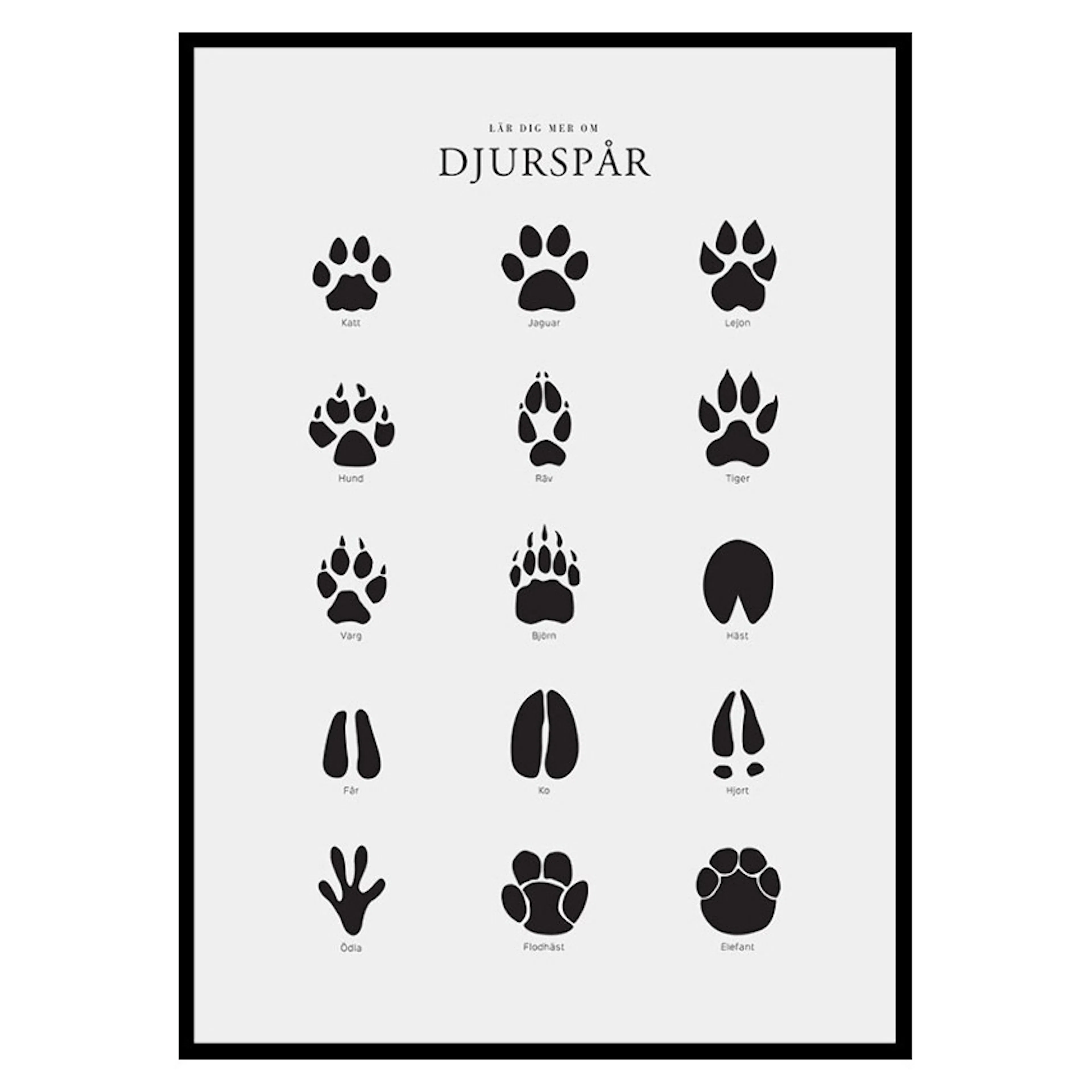 Poster Gallerix Djurspår