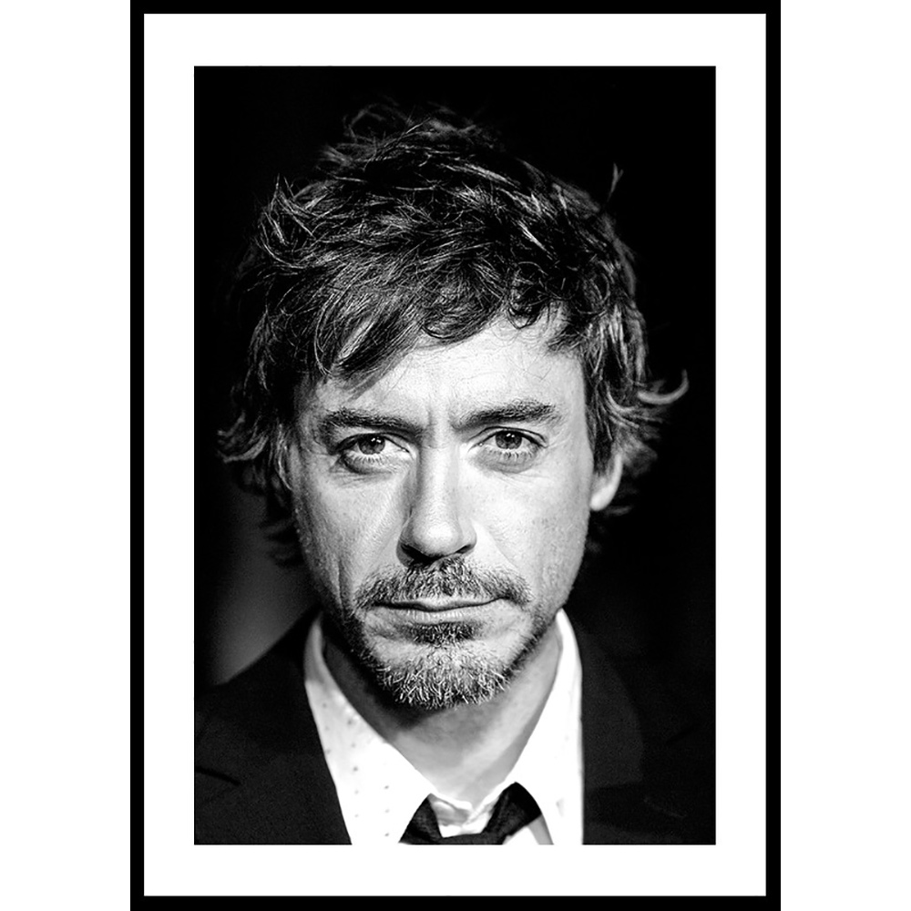 Poster Gallerix Robert Downey Jr