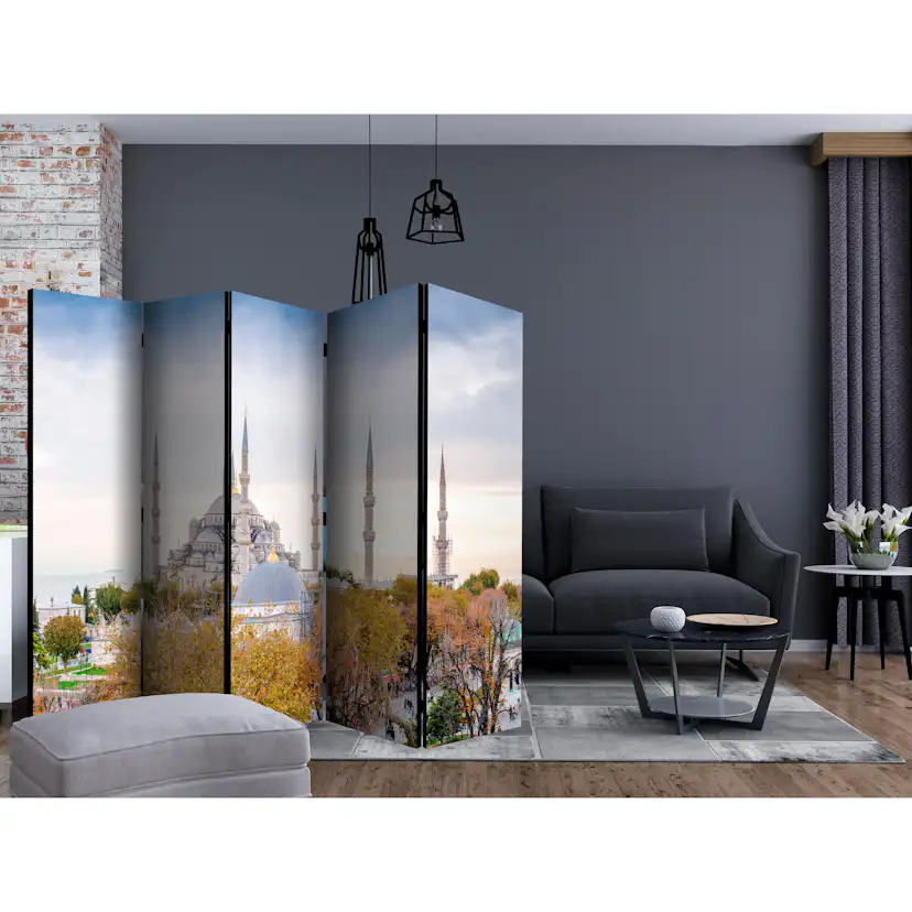 Rumsavdelare Arkiio Hagia Sophia Istanbul II 225x172 cm