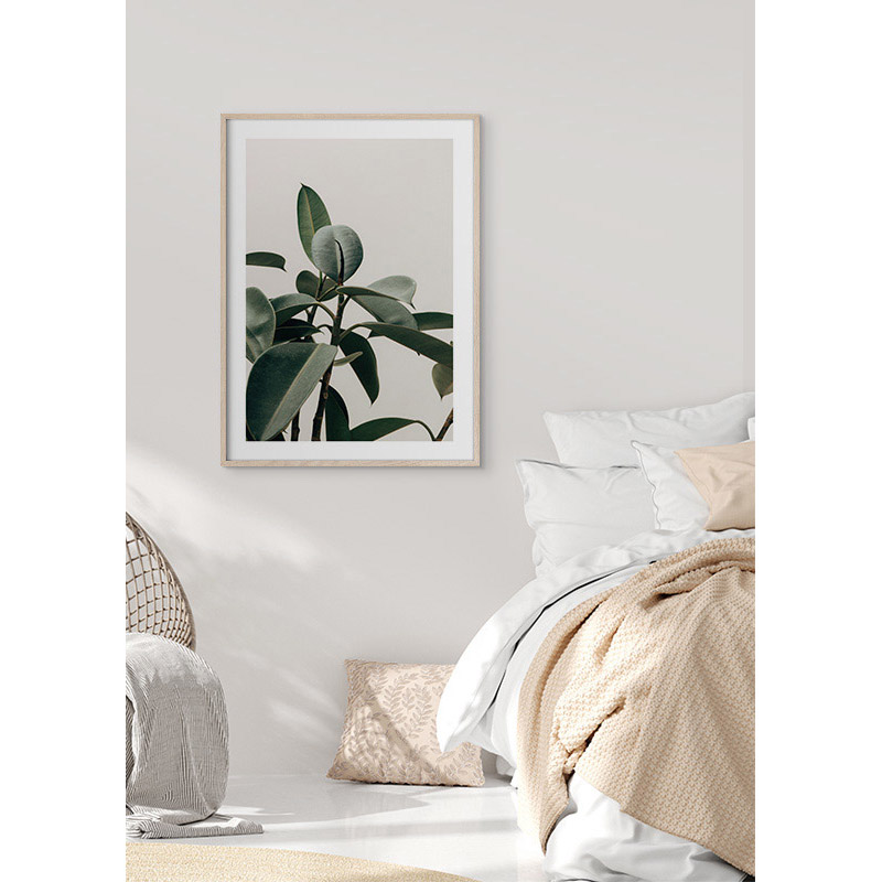 Poster Gallerix Rubber Plant