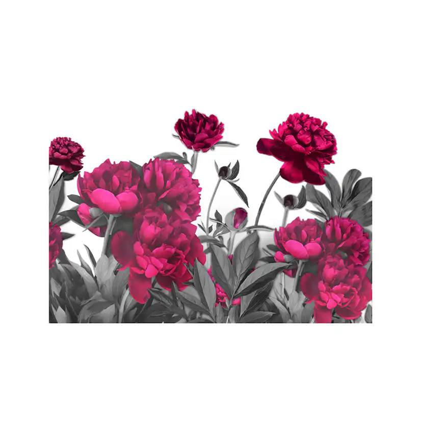 Fototapet Arkiio Lush Meadow