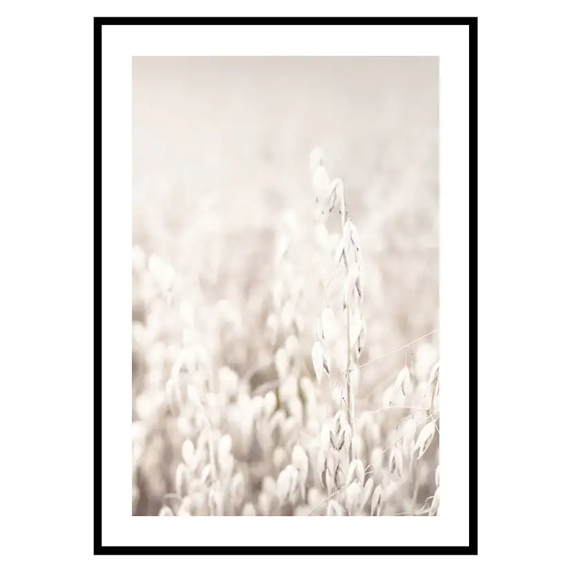 Poster Gallerix Oats